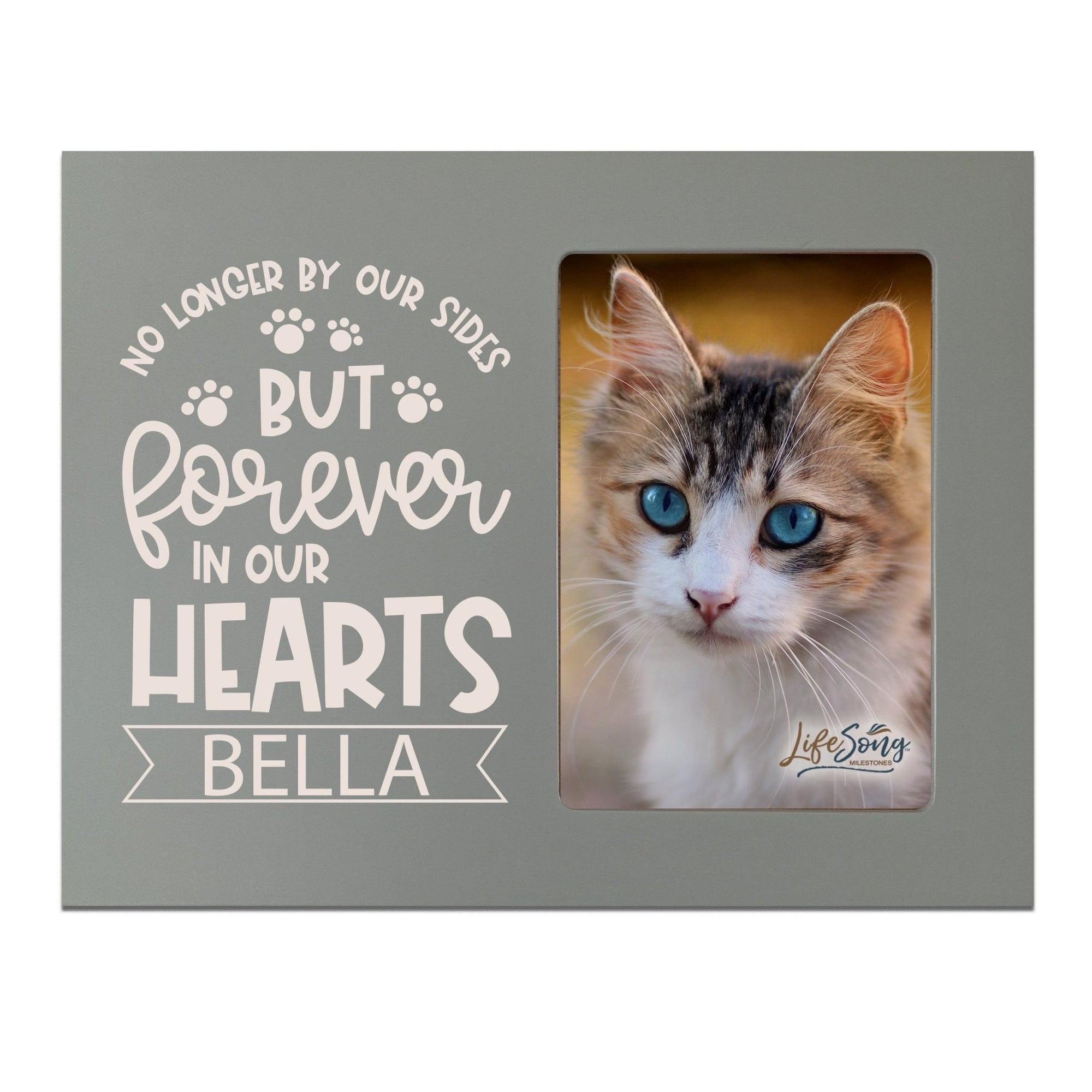 Pet Memorial Picture Frame - No Longer By Our Sides - LifeSong Milestones