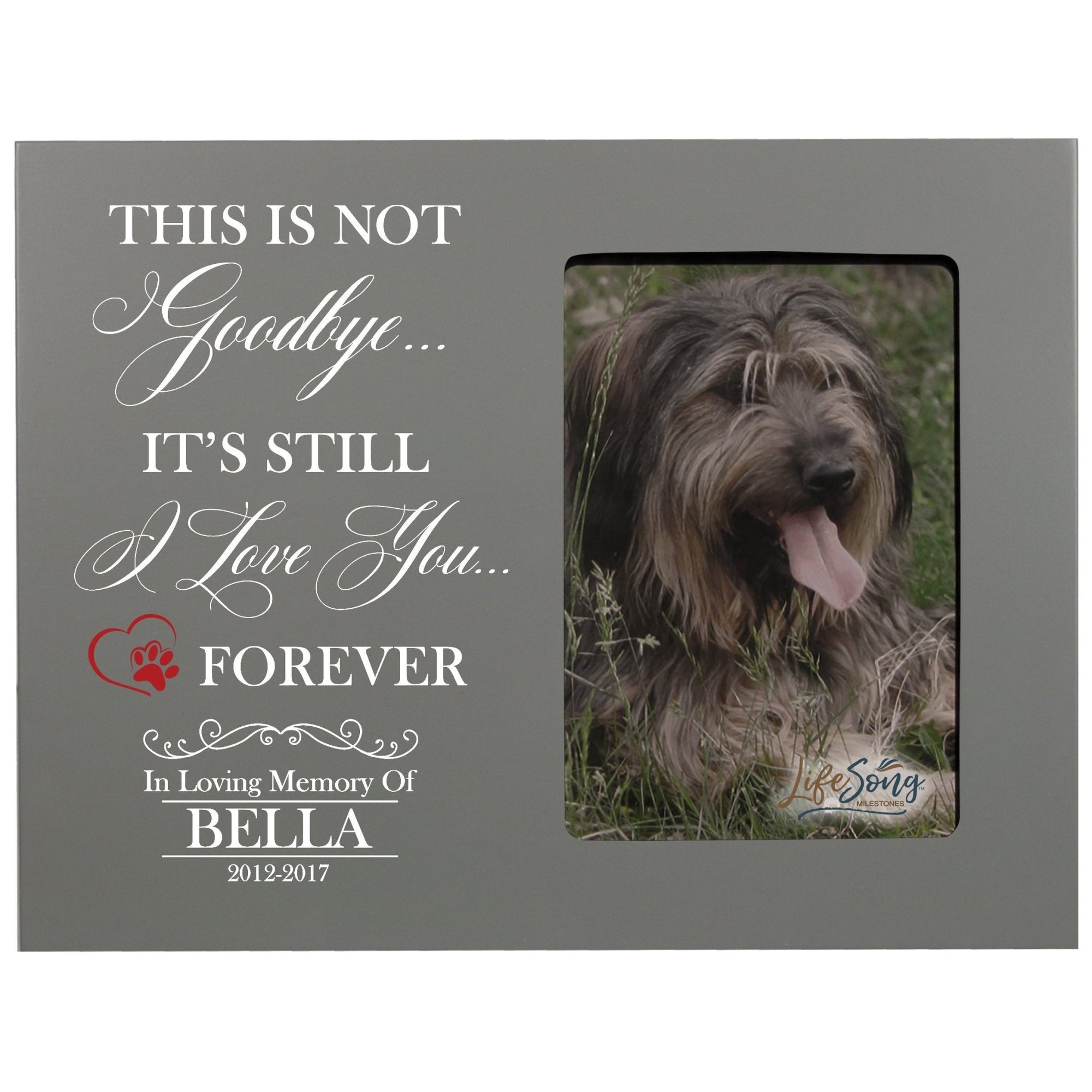 Pet Memorial Picture Frame - This Is Not Goodbye - LifeSong Milestones