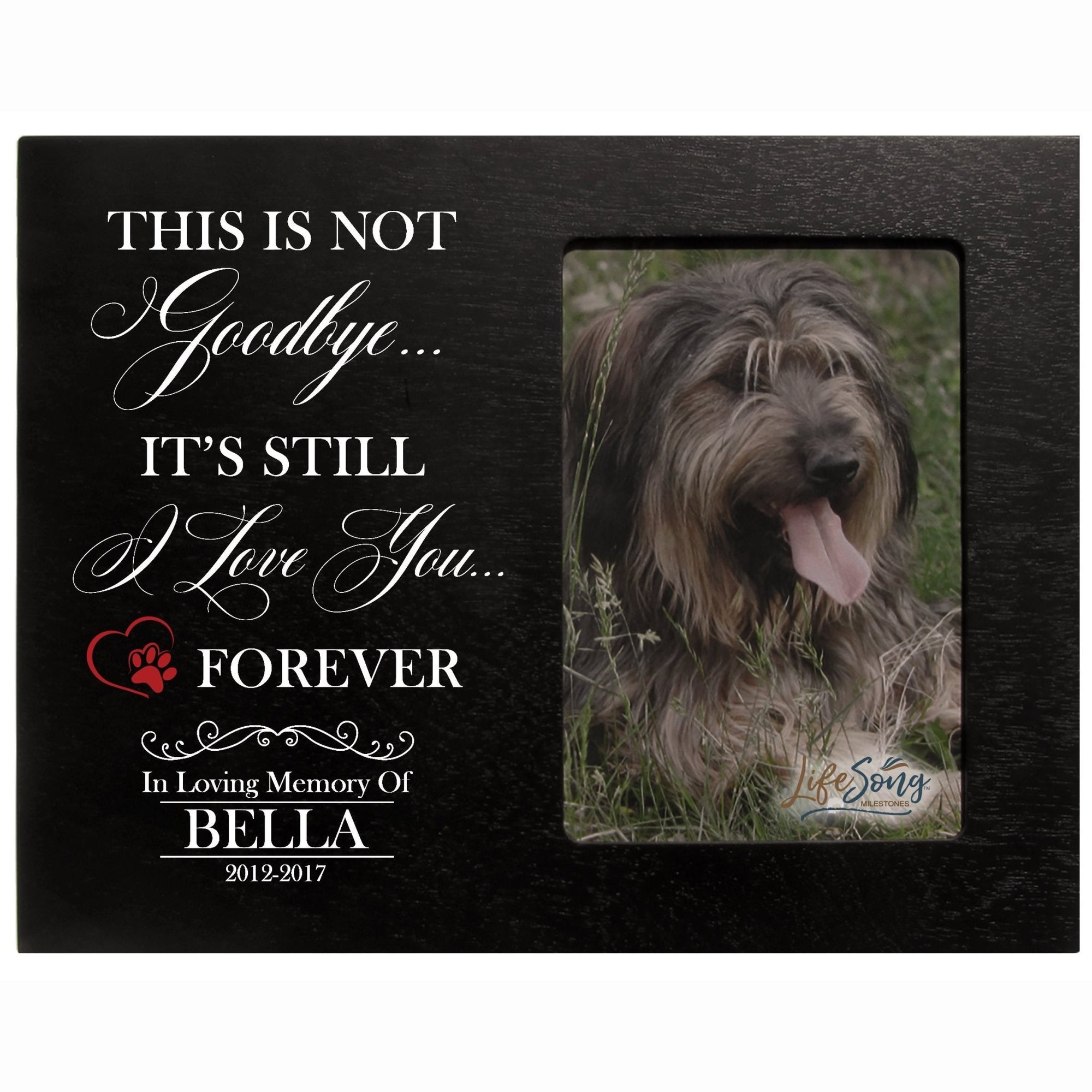 Pet Memorial Picture Frame - This Is Not Goodbye - LifeSong Milestones