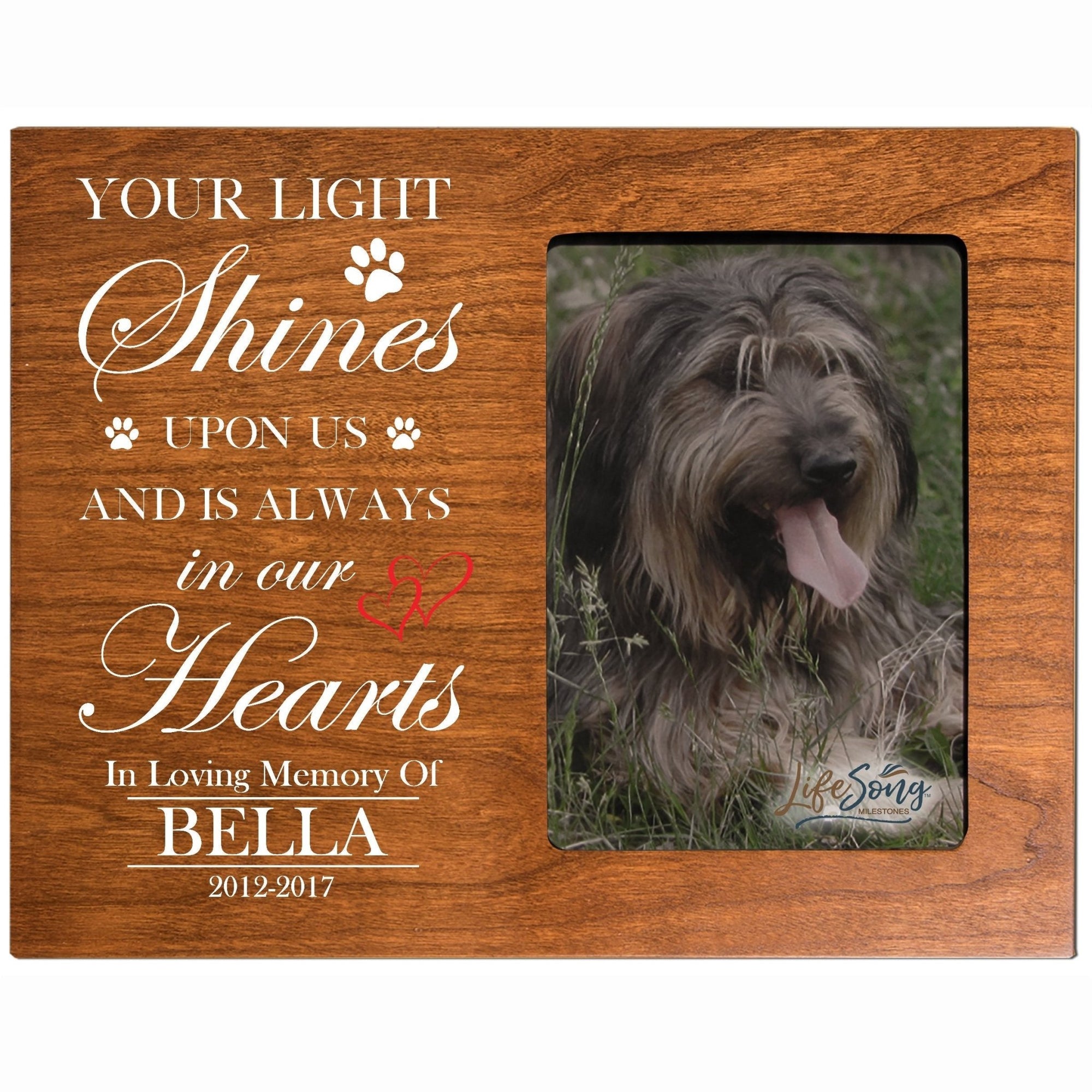 Pet Memorial Picture Frame - Your Light Shines - LifeSong Milestones