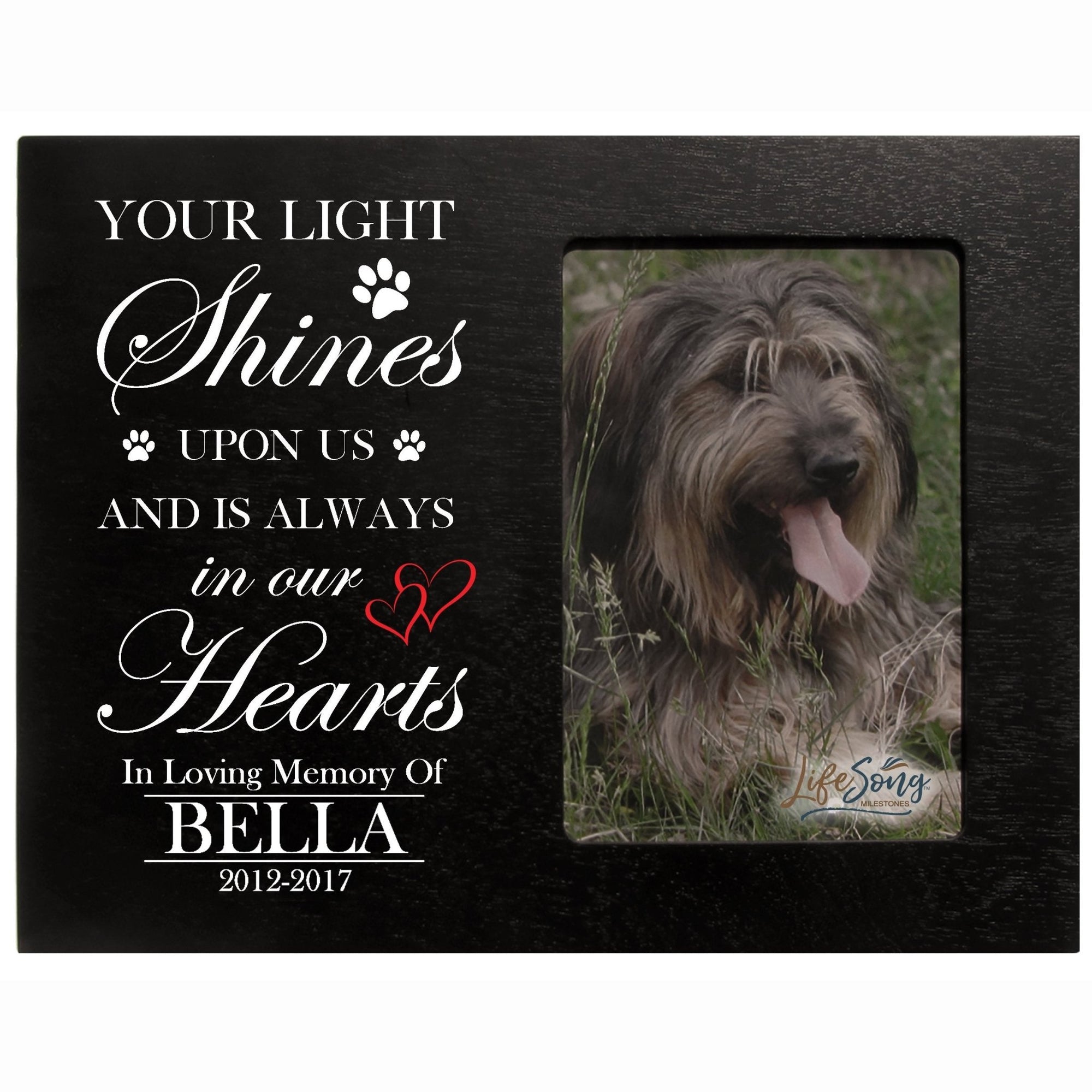 Pet Memorial Picture Frame - Your Light Shines - LifeSong Milestones