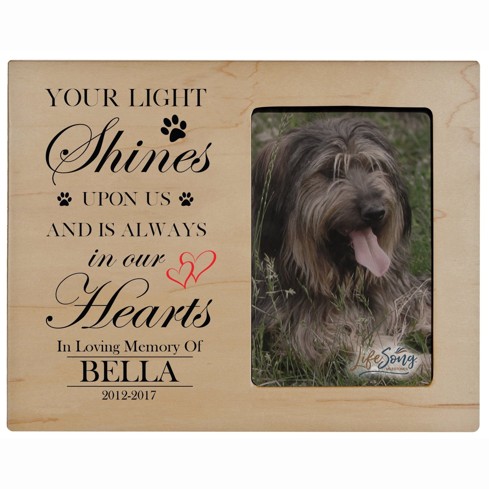 Pet Memorial Picture Frame - Your Light Shines - LifeSong Milestones