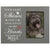 Pet Memorial Picture Frame - Your Light Shines - LifeSong Milestones