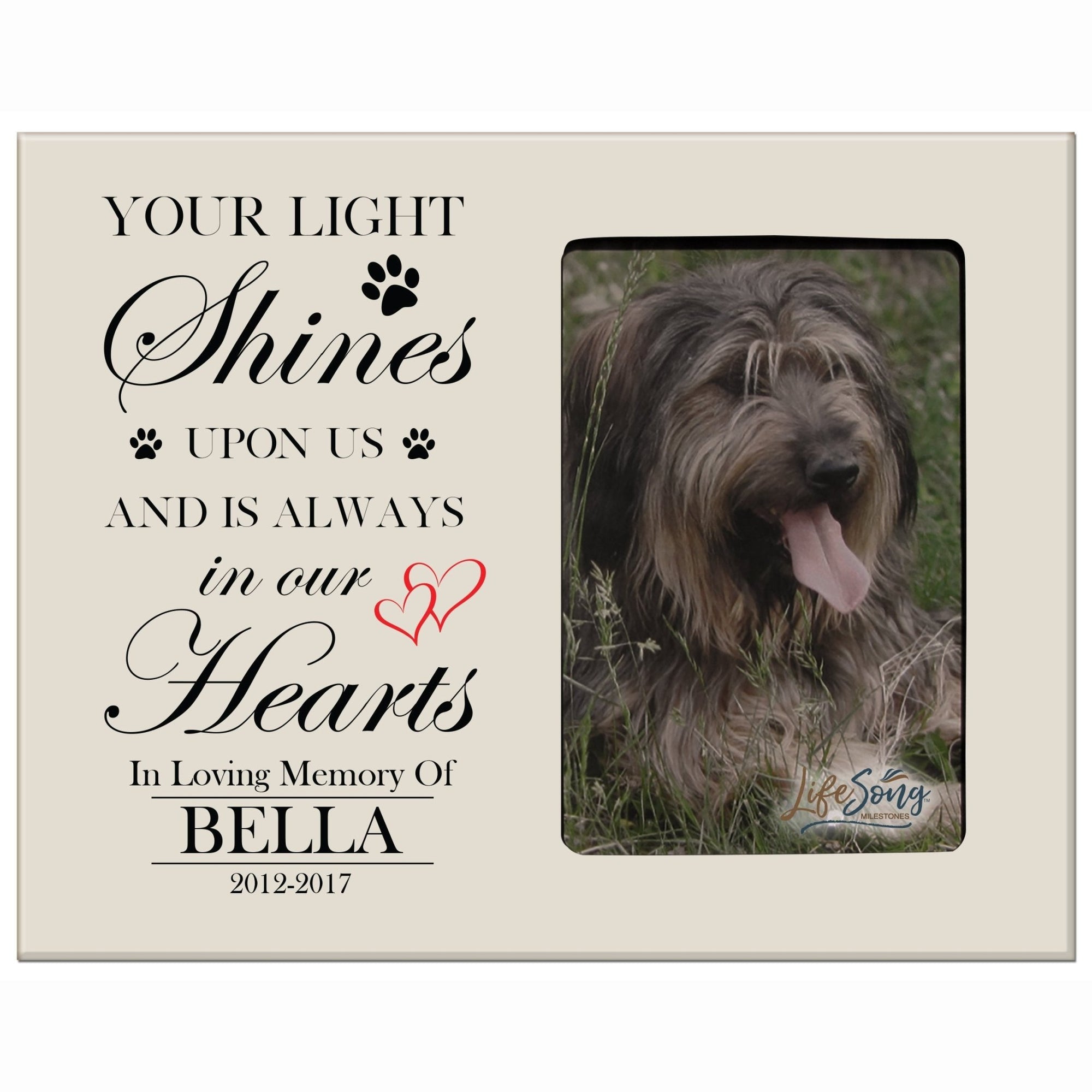 Pet Memorial Picture Frame - Your Light Shines - LifeSong Milestones