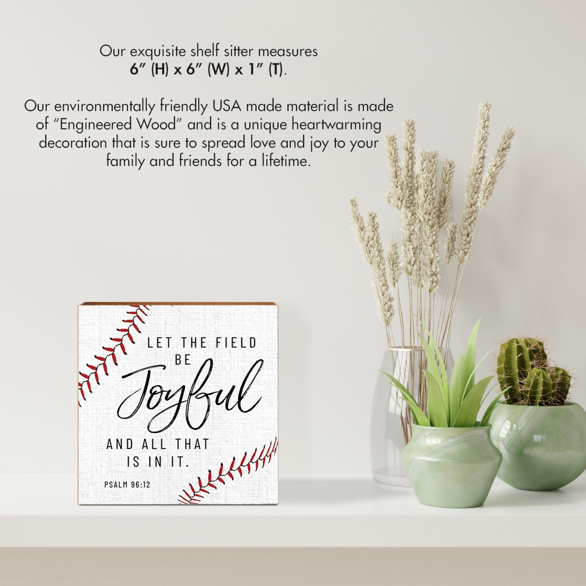 Rustic Wooden Baseball Shadow Box Shelf Décor With Inspiring Bible Verses - Let The Field - LifeSong Milestones