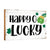 St. Patrick’s Day Tabletop Signs and Shelf Decor for Home Decorations - LifeSong Milestones