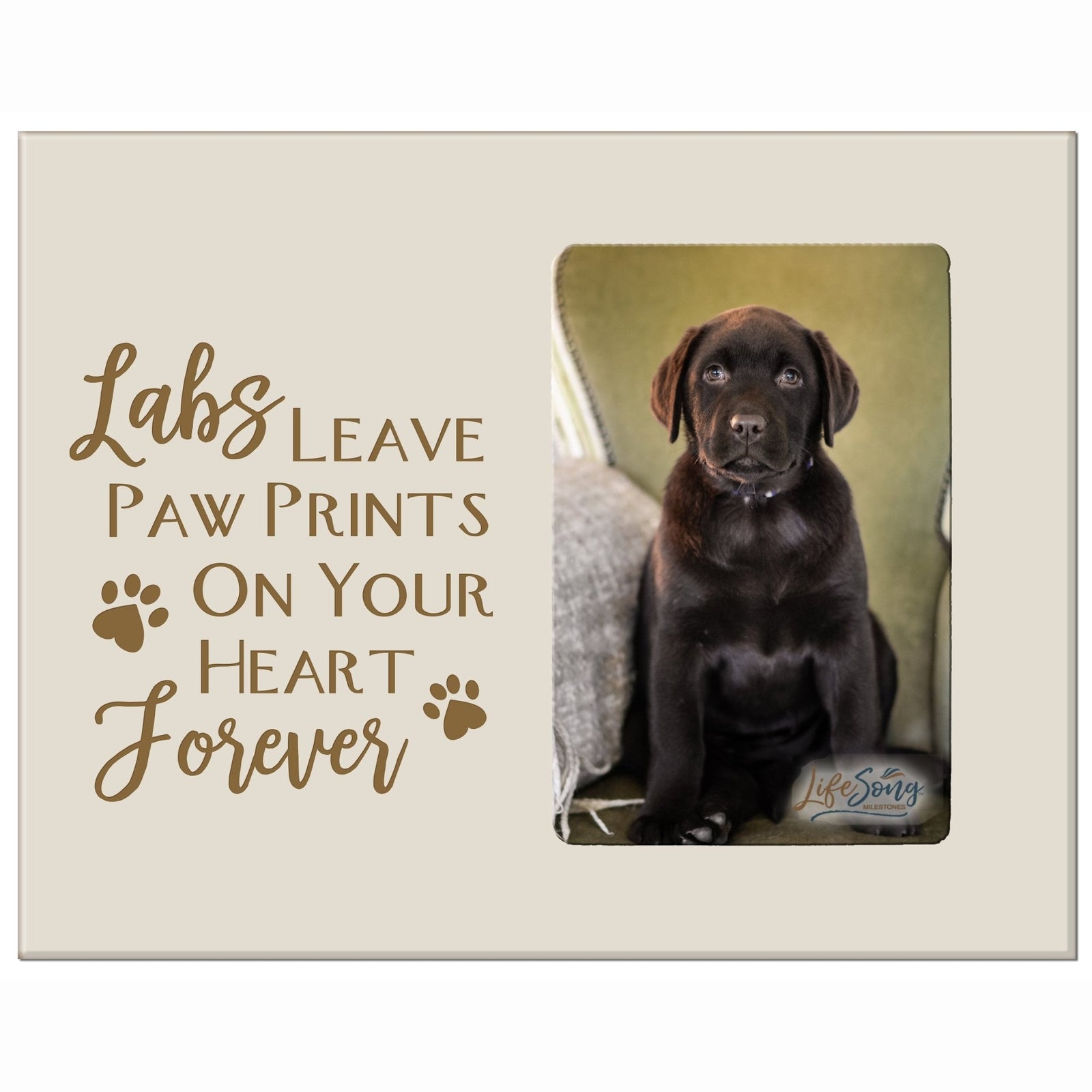 Wooden Inspirational 8x10 Picture Frame for Pet Dogs holds 4x6 photo Labs Leave Paw Prints - LifeSong Milestones