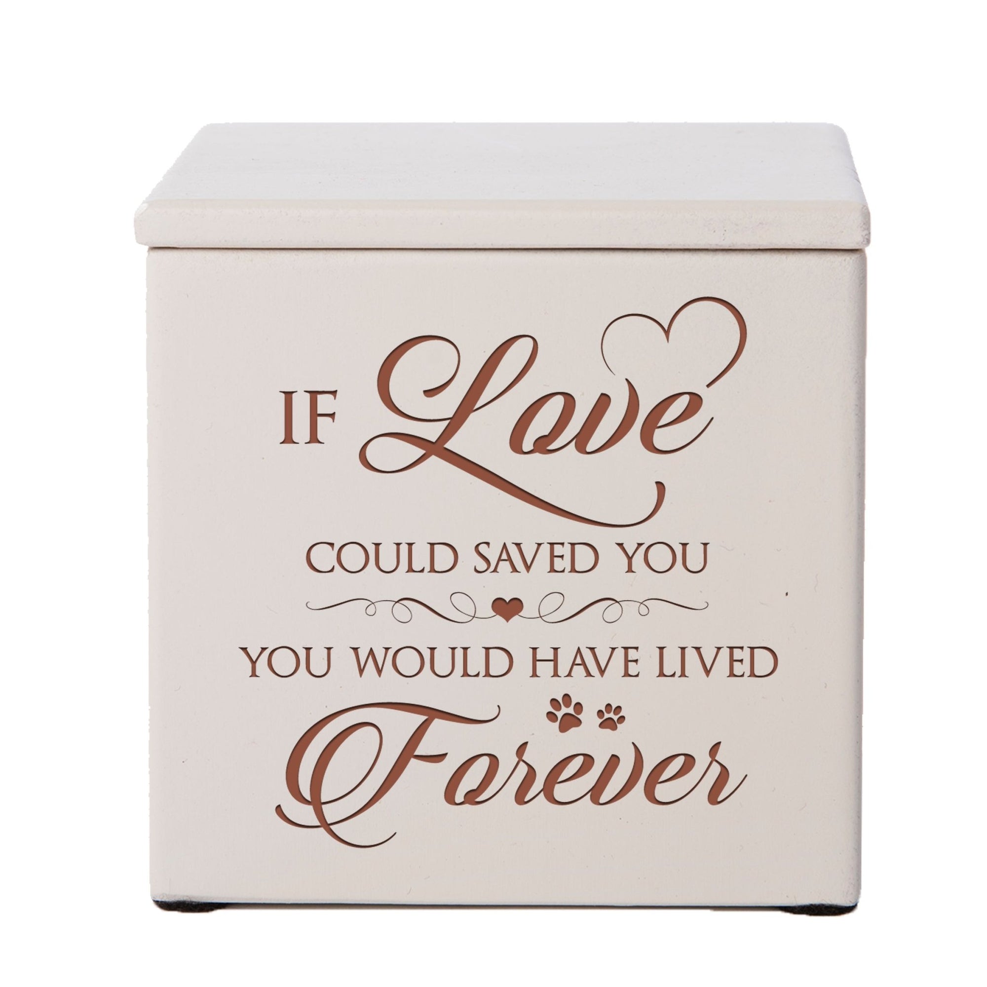 Beloved Pet Funeral Keepsake Cremation Urn Box