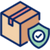 Package Protection - LifeSong Milestones